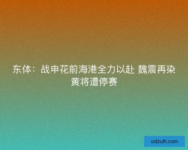 东体:战申花前海港全力以赴 魏震再染黄将遭停赛 东体:战申花前海港全力以赴 魏震再染黄将遭停赛