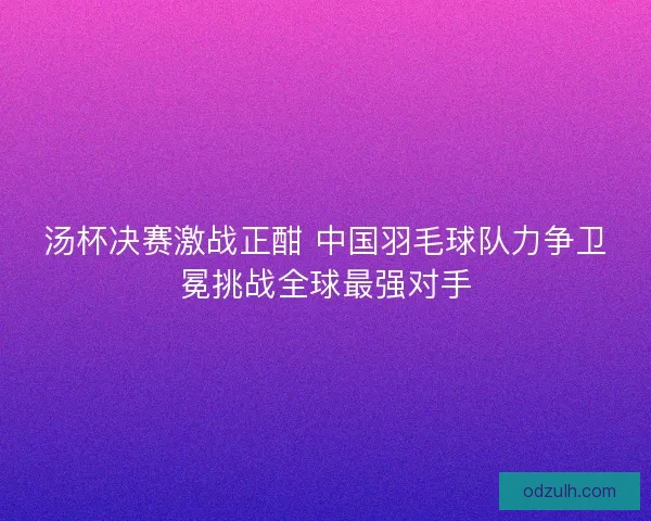 汤杯决赛激战正酣 中国羽毛球队力争卫冕挑战全球最强对手 汤杯决赛激战正酣 中国羽毛球队力争卫冕挑战全球最强对手