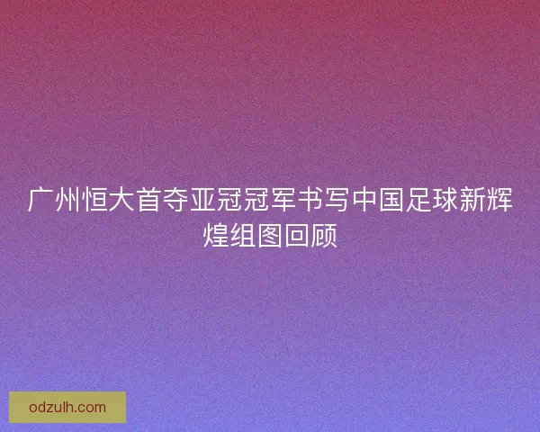 广州恒大首夺亚冠冠军书写中国足球新辉煌组图回顾 广州恒大首夺亚冠冠军书写中国足球新辉煌组图回顾